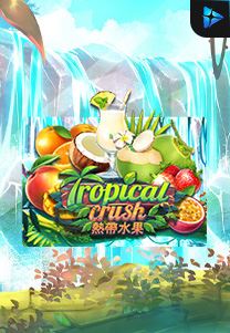 Bocoran RTP Tropical Crush di Shibatoto Generator RTP Terbaik dan Terlengkap