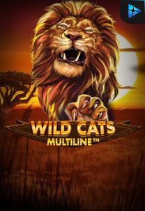 Bocoran RTP Wild Cat Multiline di Shibatoto Generator RTP Terbaik dan Terlengkap